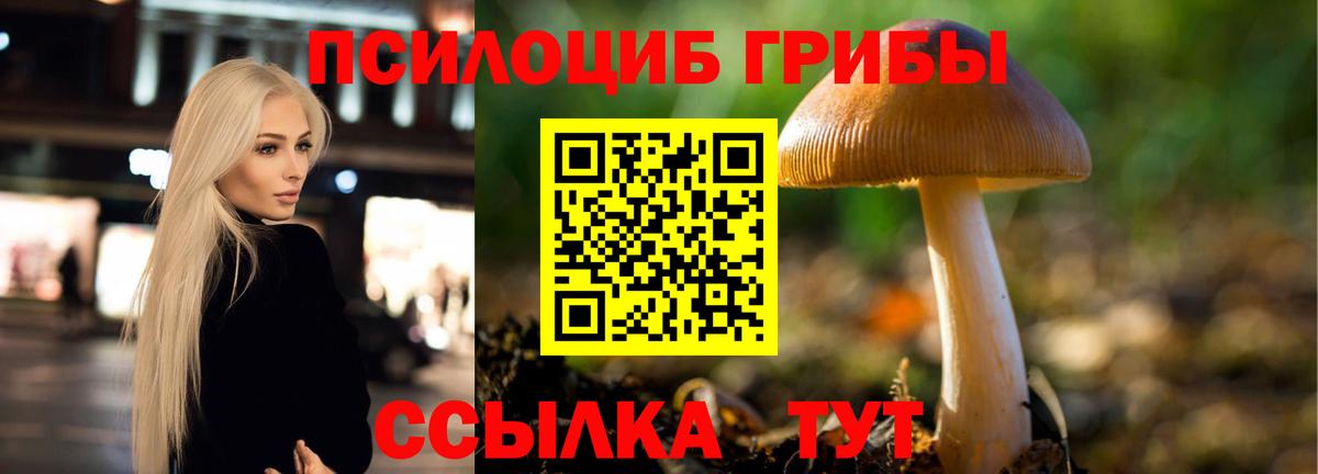 Галлюциногенные грибы ЛСД  Вход с VPN  Сокол 