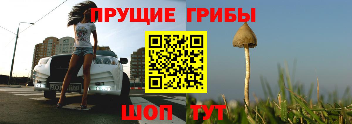 Галлюциногенные грибы мицелий Сокол